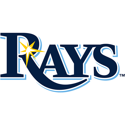 Tampa Bay Rays iron ons